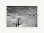 Dune Fence Drift, coastal canvas wall art print, front view