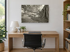 Banyan Roots Sepia landscape canvas print on the wall of a study