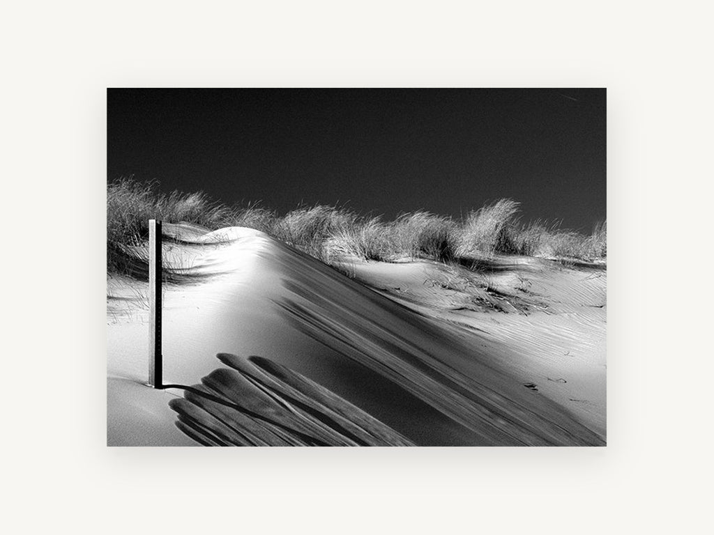 Dune Shadow Study, coastal canvas wall art print, front view