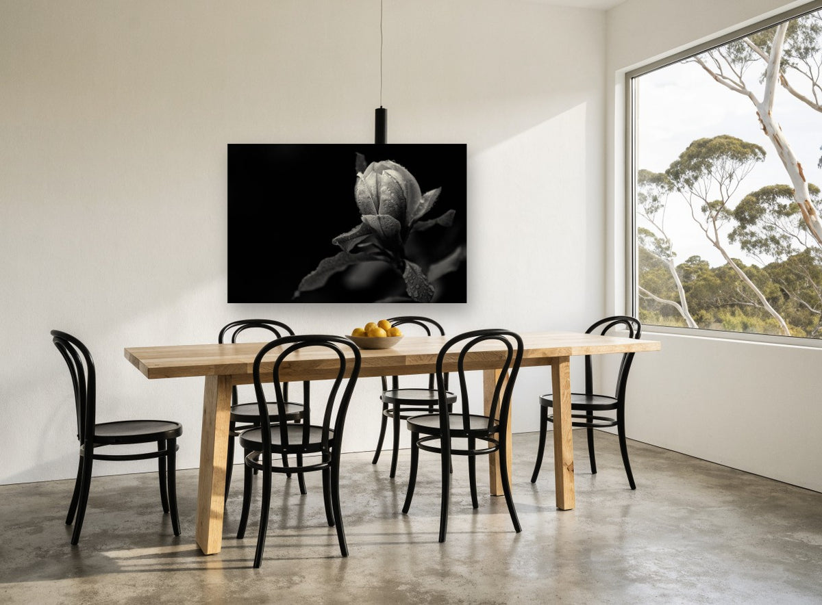 Rain-Beaded Magnolia Bud floral canvas print on the wall of a dining room