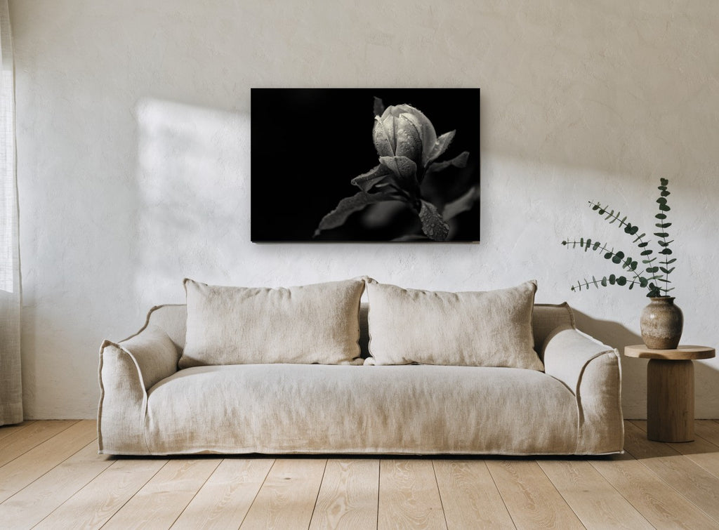 Rain-Beaded Magnolia Bud floral canvas print on the wall of a living room