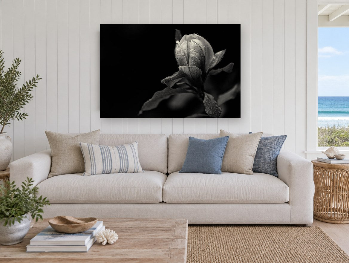 Rain-Beaded Magnolia Bud floral canvas print on the wall of a beach house living room