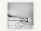 Snowbound Dune Fence, coastal canvas wall art print, front view