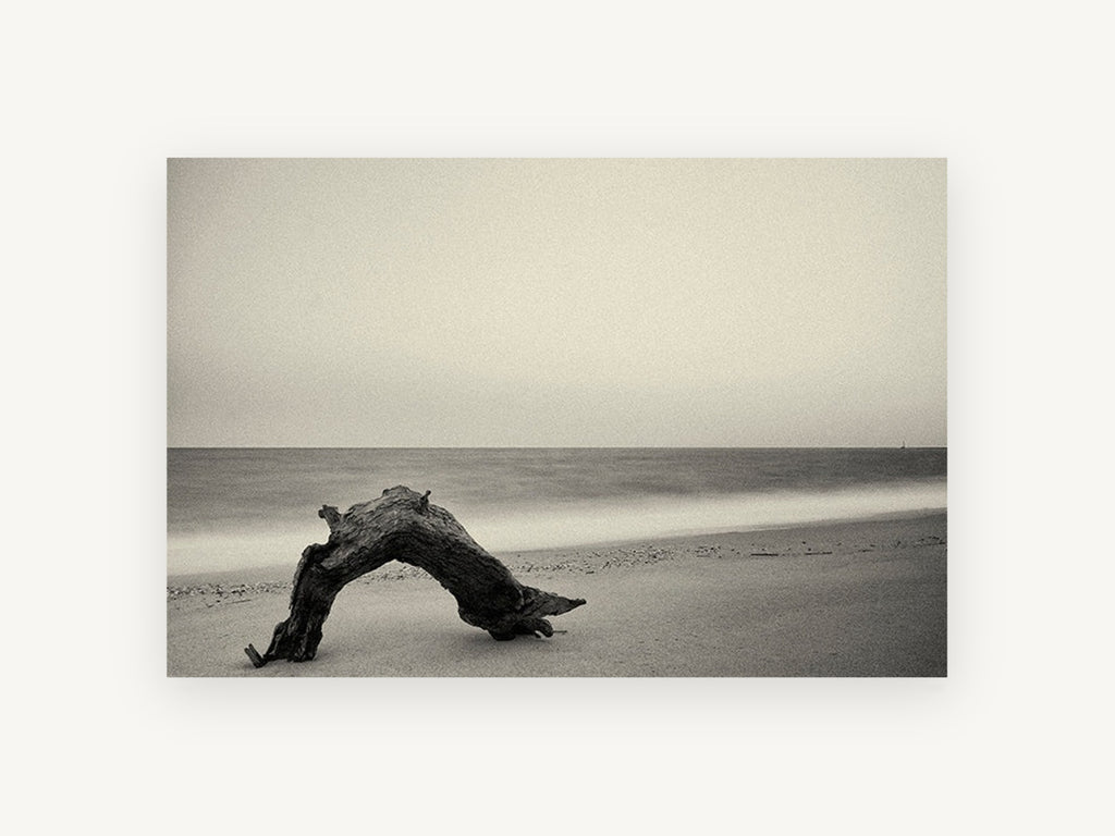 Driftwood Arch at Dusk, coastal canvas wall art print, front view
