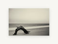 Driftwood Arch at Dusk, coastal canvas wall art print, front view