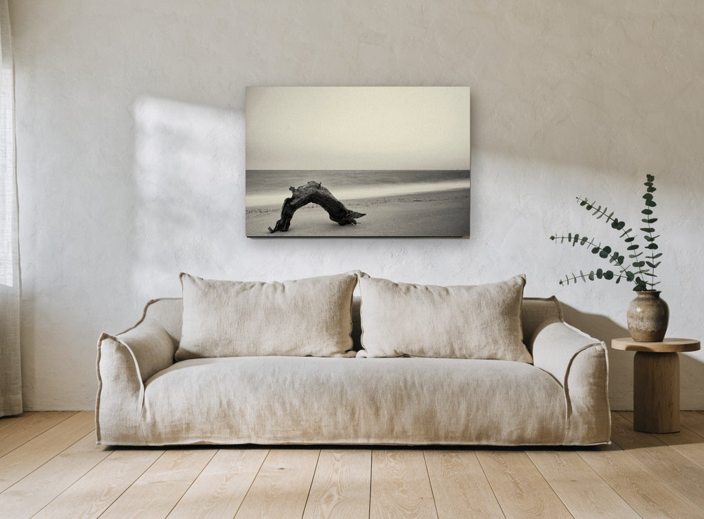 Driftwood Arch at Dusk coastal canvas print on the wall of a living room