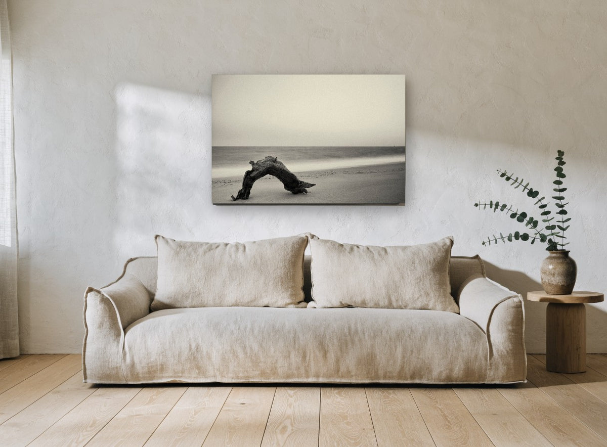 Driftwood Arch at Dusk coastal canvas print on the wall of a living room