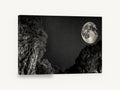 Moon Over the Gorge, full moon starry night gorge photograph, landscape canvas wall art print ready to hang