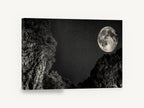 Moon Over the Gorge, full moon starry night gorge photograph, landscape canvas wall art print ready to hang