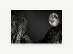 Moon Over the Gorge, full moon starry night gorge photograph, landscape canvas wall art print, front view