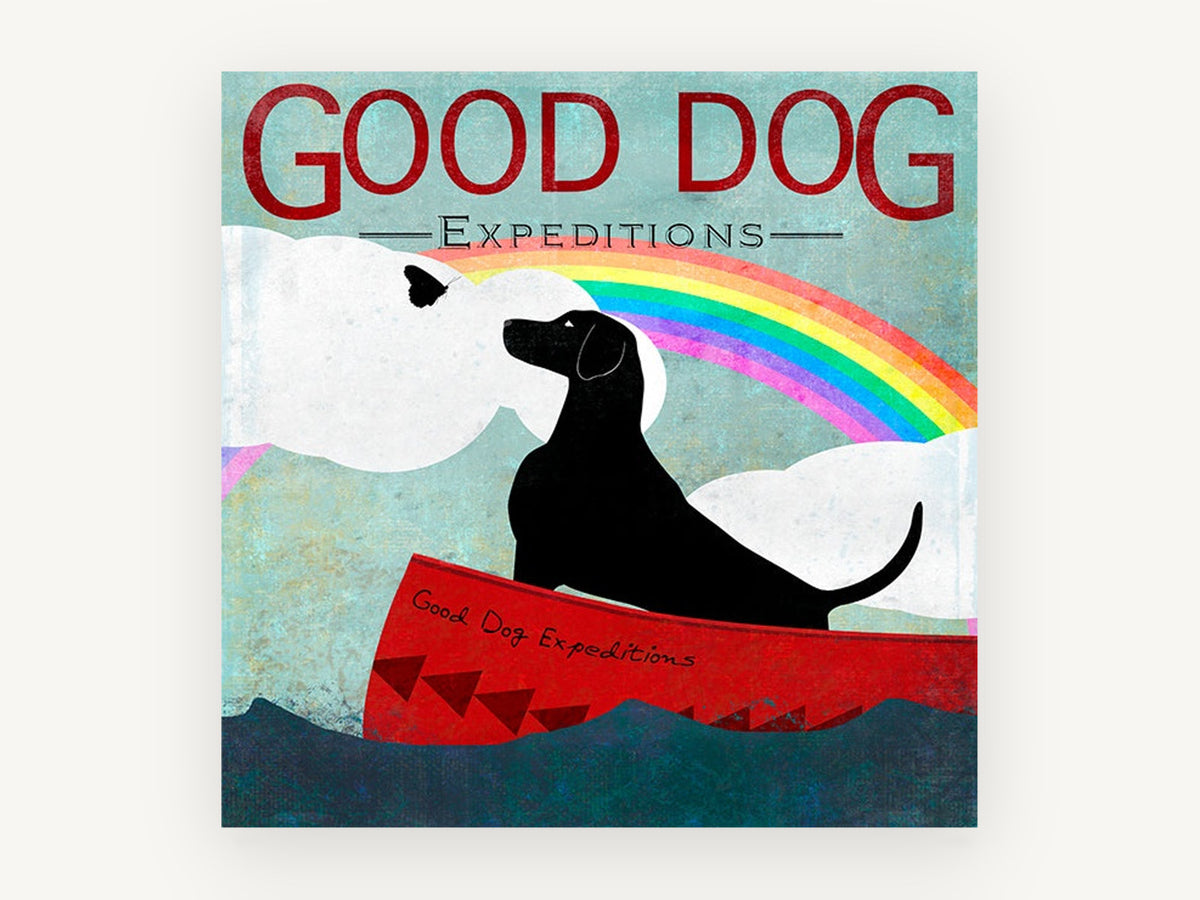 Rainbow Canoe Dog, black dog in canoe rainbow illustration, animal canvas wall art print, front view