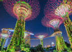 Gardens by the Bay Singapore Wall Print