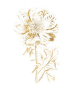 Gilded Botanical VIII Wall Art Print