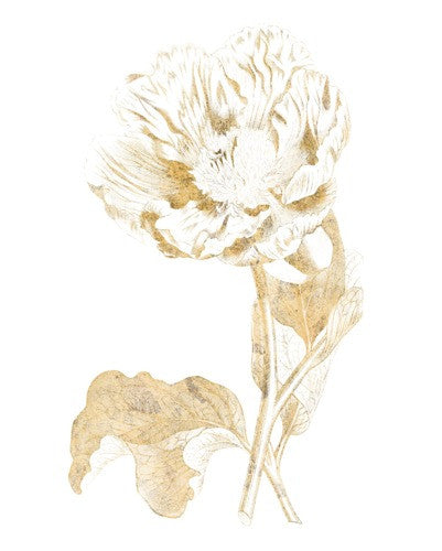 Gilded Botanical VII Wall Art Print