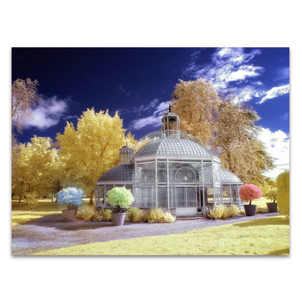 Glasshouse Eiffel Wall Art Print 