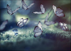 Glowing Butterflies Wall Art Print