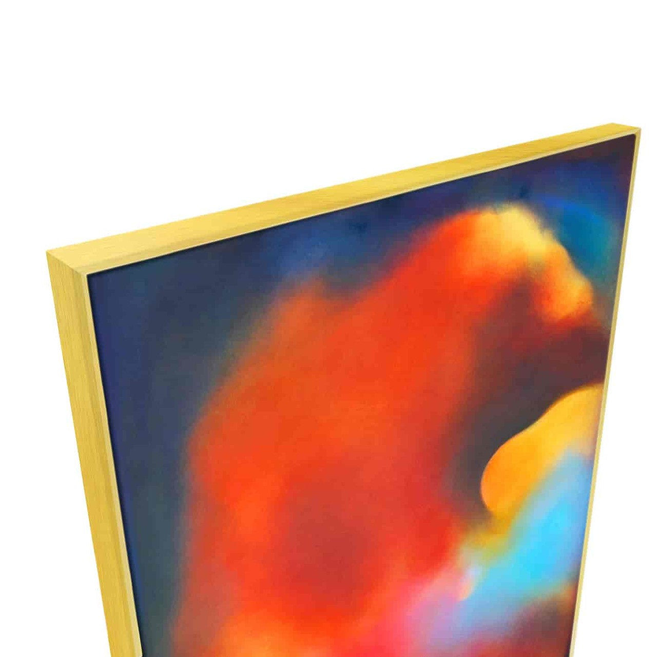 Anne Schwartz | Light Echo