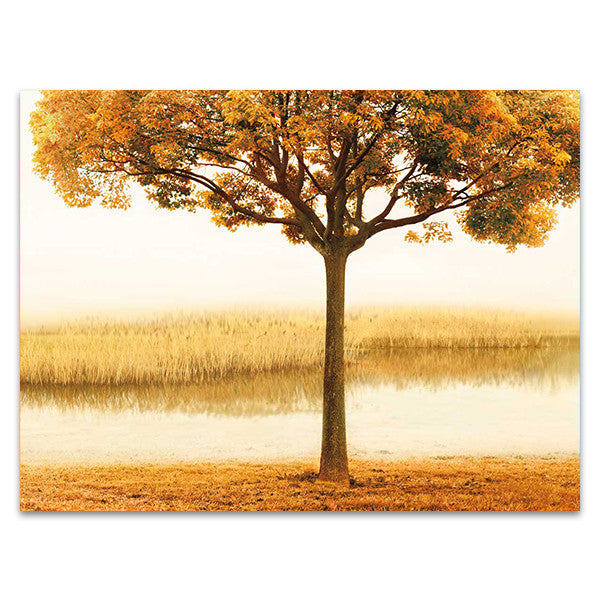 Golden Morning I Wall Art Print