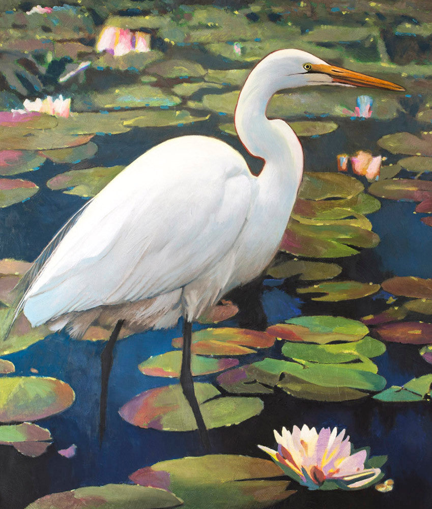 Great Egret Wall Art Print