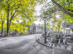 Green Amsterdam Wall Art Print