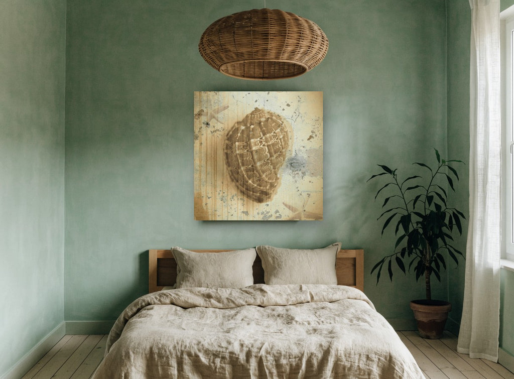 Weathered Harp Shell vintage canvas print on the wall of a bedroom