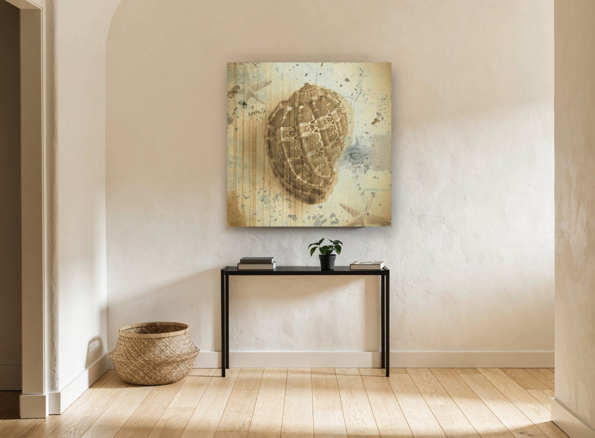 Weathered Harp Shell vintage canvas print on the wall of a hallway