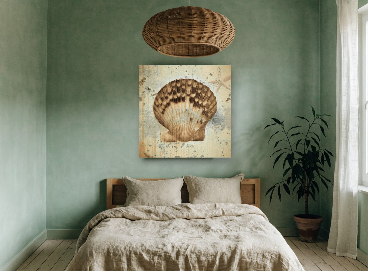 Weathered Scallop Shell vintage canvas print on the wall of a bedroom