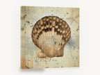 Weathered Scallop Shell, vintage scallop shell beach, stretched canvas wall art print ready to hang