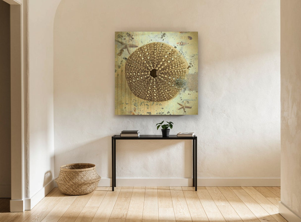 Sea Urchin Shell Study vintage canvas print on the wall of a hallway