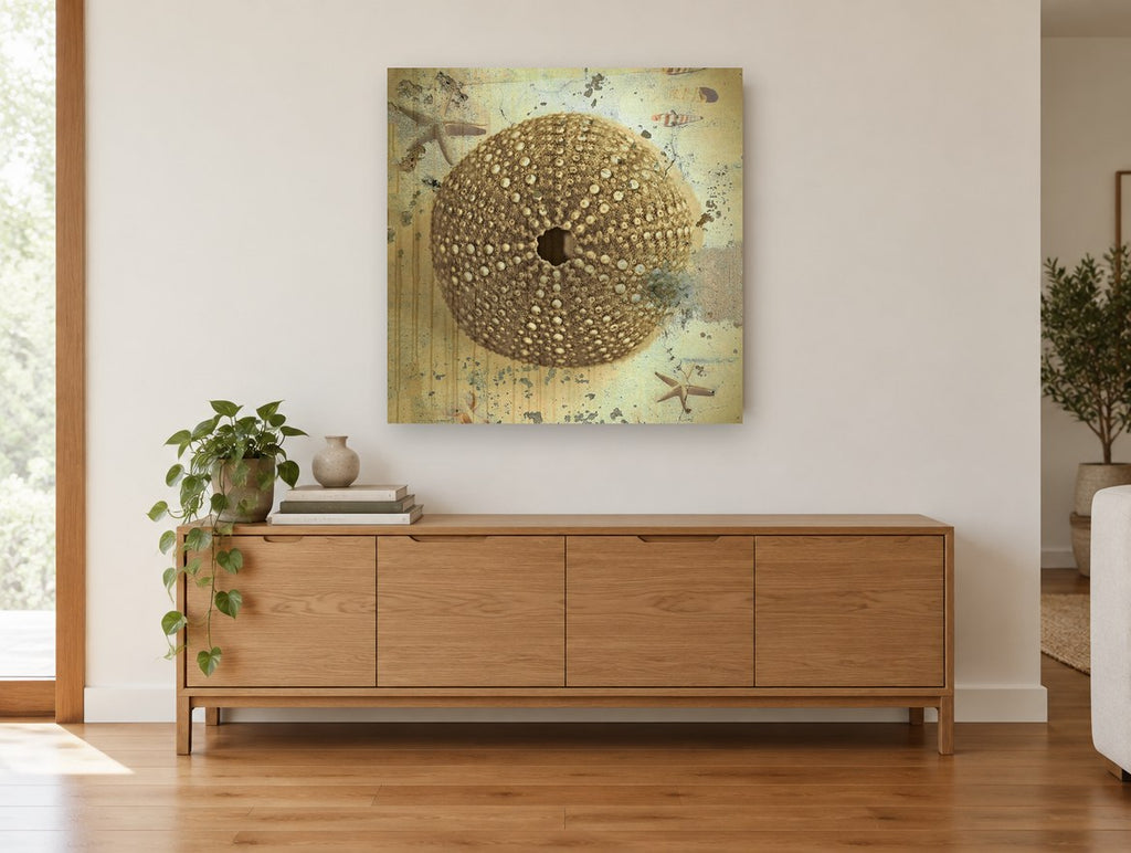 Sea Urchin Shell Study vintage canvas print on the wall of a living room above a sideboard