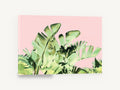 Blush Banana Fronds, tropical palm leaves pink background, floral canvas wall art print ready to hang