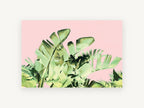 Blush Banana Fronds, floral canvas wall art print, front view