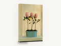 Three Proteas in Teal, pink protea pot plant still life, floral canvas wall art print ready to hang