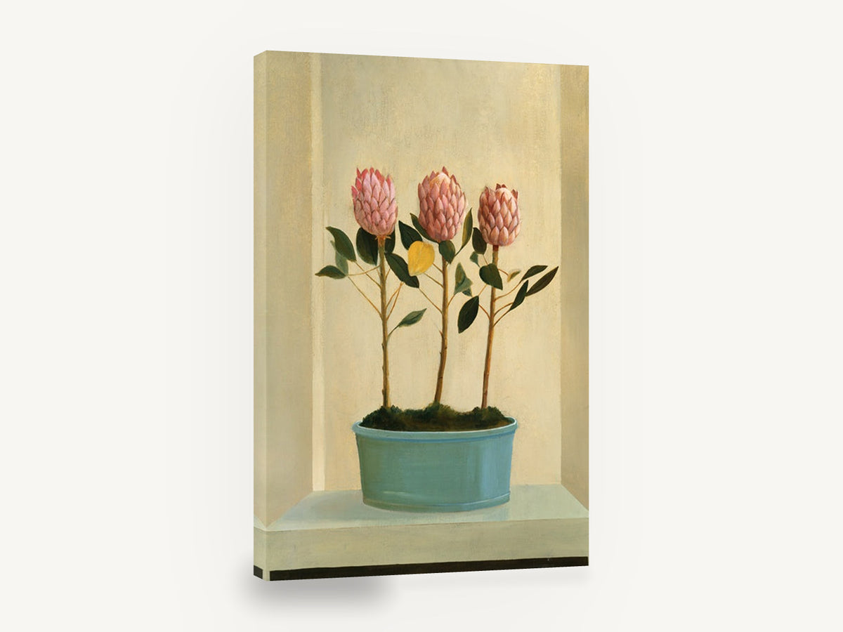 Three Proteas in Teal, pink protea pot plant still life, floral canvas wall art print ready to hang