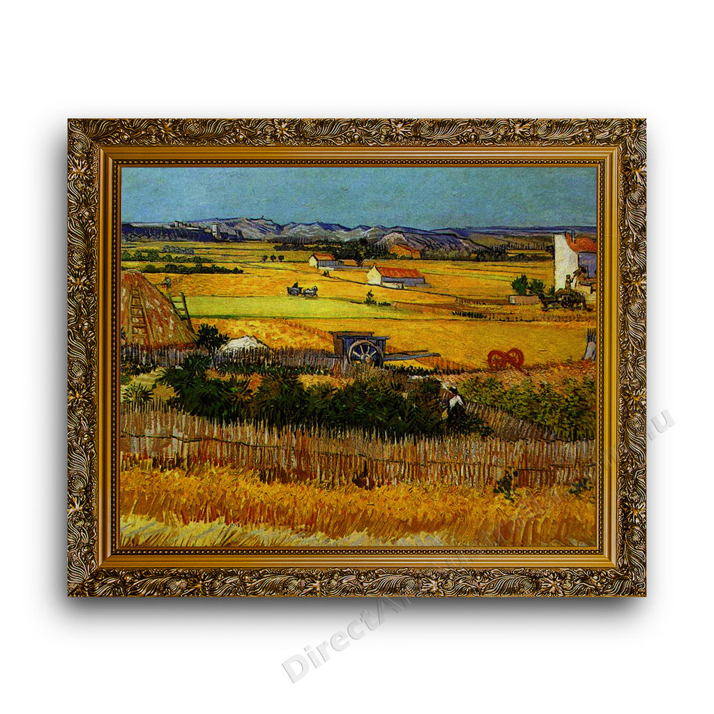 Gold Ornate Outer Frame