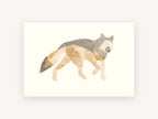 Paper Cut Grey Wolf, grey wolf paper collage illustration, animal canvas wall art print, front view