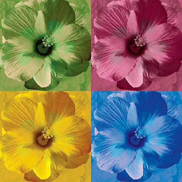 Hibiscus Tylene Wall Art Print