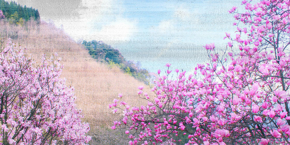 Hillside Blooms Wall Art Print