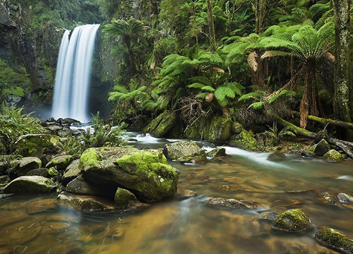Hopetoun Falls Victoria Australia Wall Print