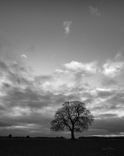 Horizon Tree Wall Art Print
