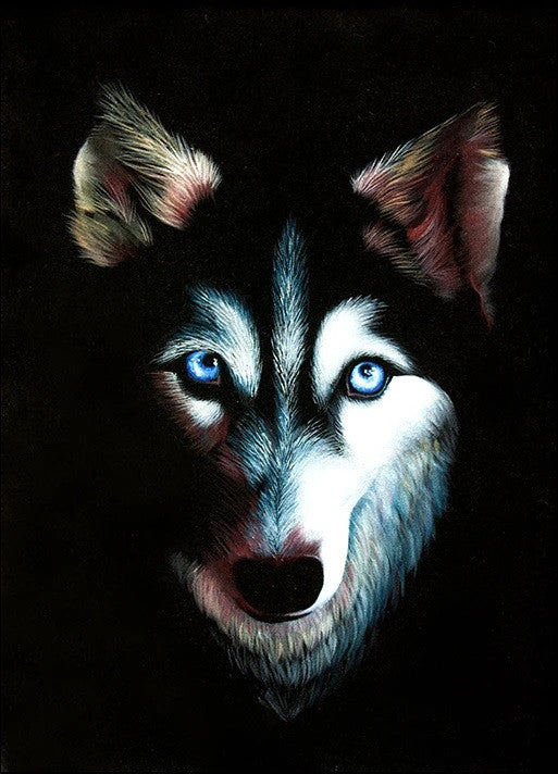 Husky Dog Wall Art Print 