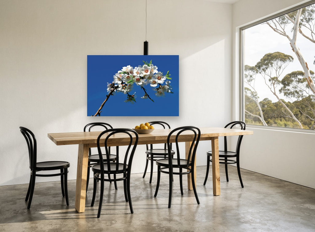 Blossom Against Blue floral canvas print on the wall of a dining room