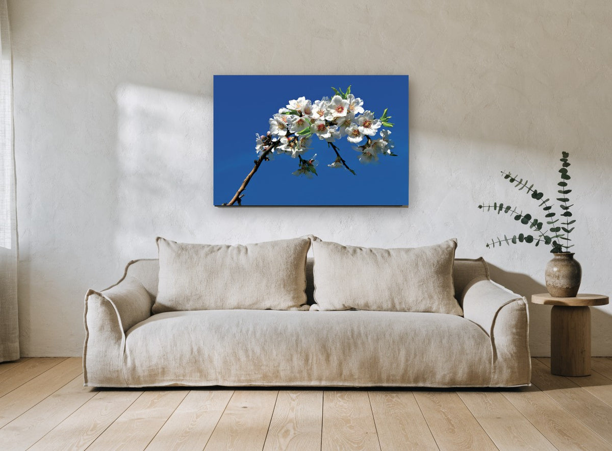 Blossom Against Blue floral canvas print on the wall of a living room