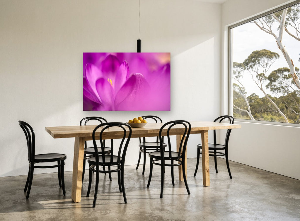 Crocus Glow floral canvas print on the wall of a dining room