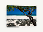 Shade Tree Shoreline, tree shadows on white sand beach photograph, coastal canvas wall art print ready to hang