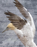 In Flight II Wall Art Print