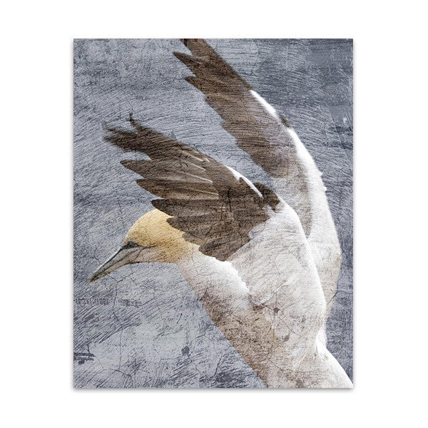 In Flight II Wall Art Print