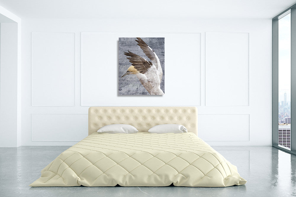 In Flight II Wall Art Print on the wall