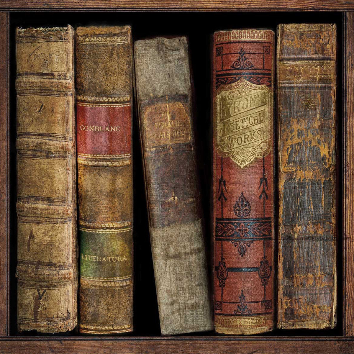 In The Library I Wall Art Print