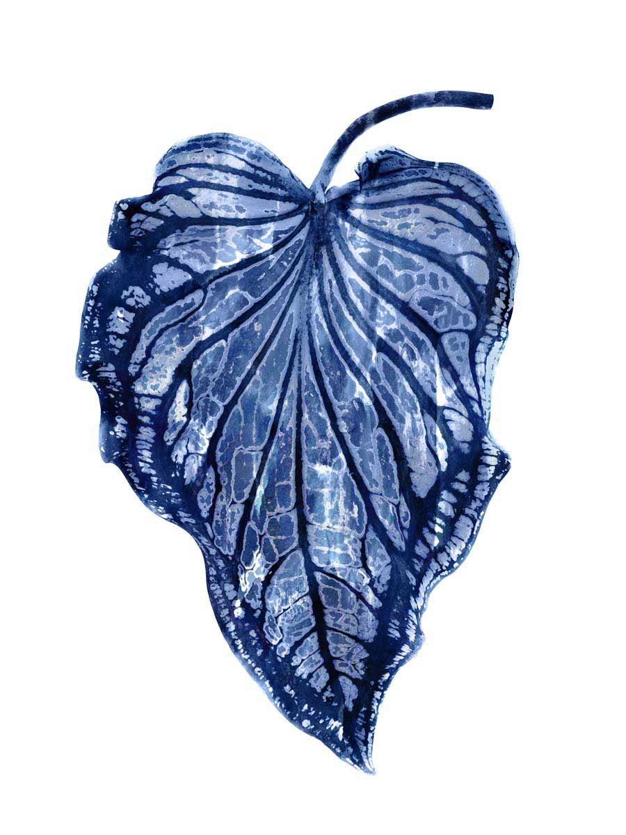 Indigo Palm III Wall Art Print